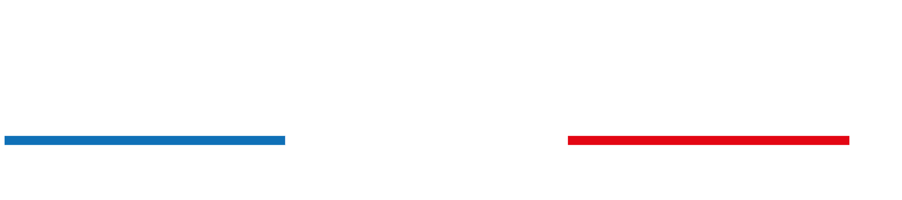 Art exposium